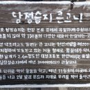 미시리 경정장 개나리꽃길걷기(3/26. 화) 이미지