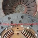 비아 매일카 이미지