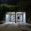 진LED조명