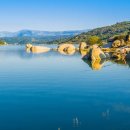 아기고래풀빌라B 이미지