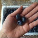 갈마농원 이미지