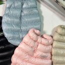 댕실댕실 이미지