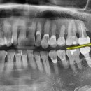 경대본치과의원 이미지