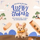 더존비앤씨티(강아지숲)/베이커리 선 | 강아지숲, ‘Lucky 설날 이벤트’ 개최… 다채로운 프로그램 선봬