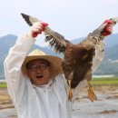 덕담골유황오리 이미지