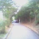 노적봉길 이미지