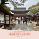 현대해상_카카오페이 | 네이버 여행자 보험 가입방법 카카오 페이