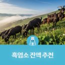 흑염소 진액 추천 순위 2026 BEST 5: 실패 없는 선택법