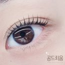공드리움
