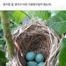 우리하숙 - 보령시 오천해안로 7 | 우리하숙
