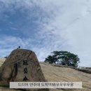 효정숲
