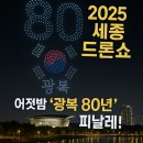 호수공원, 중앙공원 | [2025 세종 드론쇼] 어젯밤 &#39;광복 80년&#39; 피날레! (중앙공원) | 한글축제 (호수공원) 드론쇼 총정리