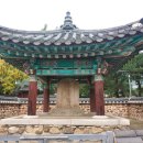 순천-77호 이미지