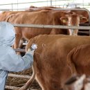 병인농장 이미지