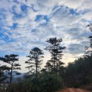 그램모텔 이미지