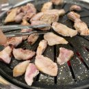 영재막창 | [인천 논현동 맛집] 논현막창구이 - 1인분만 주문 가능한 통 갈매기살 맛집 (내돈내산 후기)