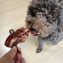 댕큐베리 이미지