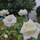 남도목욕탕 이미지