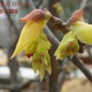 민원해결전문 행정사합동사무소 이미지