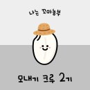 규의농장 | 🌾광주 근교 아이랑 가볼만한 곳 '그라운드 섭리' 🌾진짜 논에서 모내기 해본 후기 (+준비물)