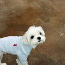 잠두유치원 이미지