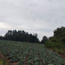 대관령트레이닝센터 이미지