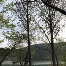 애룡원두막 이미지