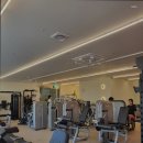 디데이핏 이미지