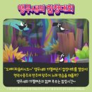 프렌쥬 클래식 사파리 이미지