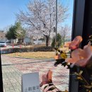 경기도 수원시 팔달구 경수대로692번길, 월드컵로357번길 | 수원 지관서가 북카페 후기 - 책 읽고 작업하기 좋은 조용한 카페 (근처 하하김밥 우만점도 추천)