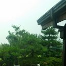 창녕파3 골프랜드 이미지