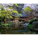 남간정사 이미지