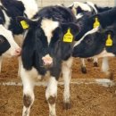 남선축산 이미지