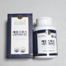 주식회사세모 이미지