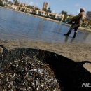 경종농장 이미지