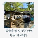 둘리 농장 | 파주 마장호수뷰 동물 카페 아기랑 갈 만한 곳 철갑상어유원지 애견동반 내돈내산 후기