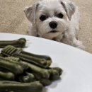 폴리파크태안점 | [그리니즈] 덴탈 트리트 티니_반려견의 토탈 오랄케어 솔루션 급여 후기