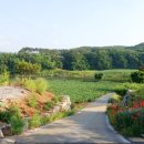 선돌흙집 이미지