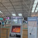 인천공항 콜밴 비용 가격 추천 요금 알아본 후기