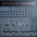 봄을 알리는 포크 콘서트 | 빅뱅 20주년 콘서트 후기🫰