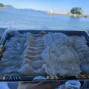 항도야영장 이미지