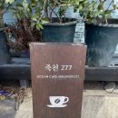 죽천277