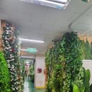 강남시장(3) | 강남고속버스터미널 3층 조화시장 방문 후기