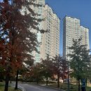 광교경남시티공인중개사사무소 이미지