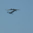 철새보러가는길 이미지