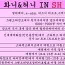 화니 이미지