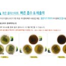 옥샘 이미지