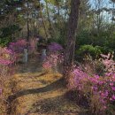 CU통영달아점 | 봄날 통영 여행 ⑤ 달아 전망대, 클럽 ES 리조트