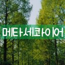 대성조경농원 이미지