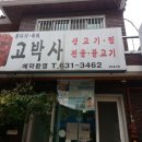 고박사생고기